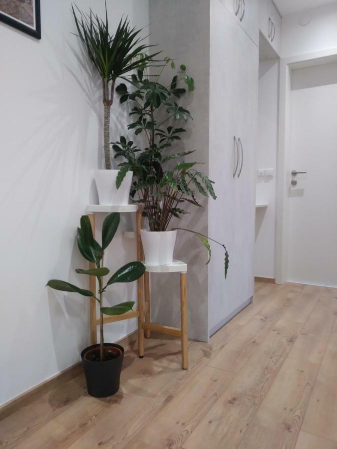 Oliva 4 Stars Apartment Загреб Екстериор снимка