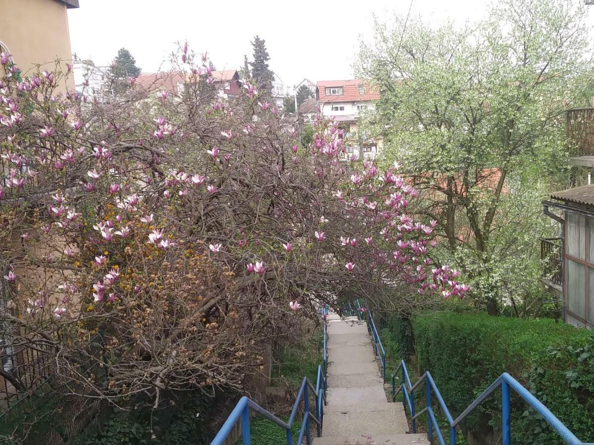 Oliva 4 Stars Apartment Загреб Екстериор снимка